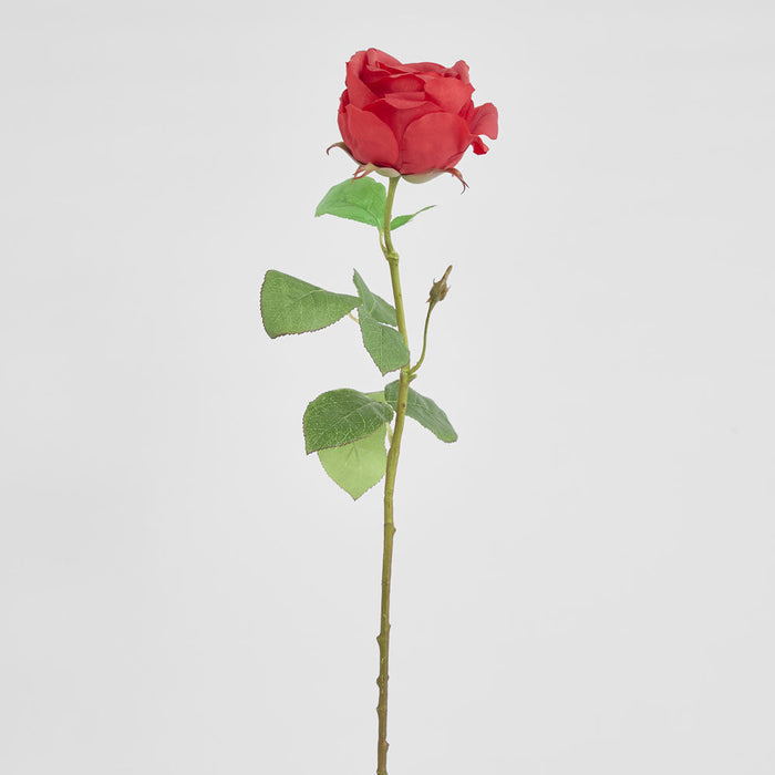 Cabbage Rose Real Touch 65cm Red 6 pcs