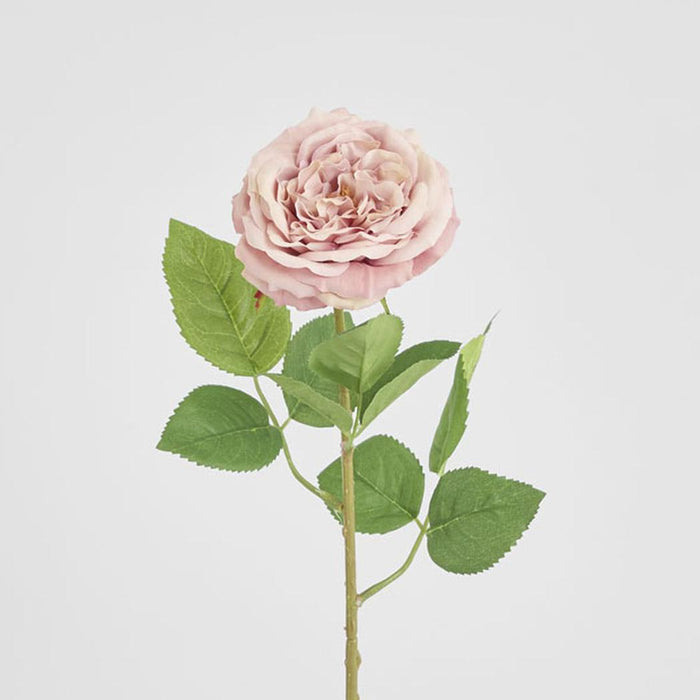 Dried Look English Rose Stem 50cm Blush 6 pcs