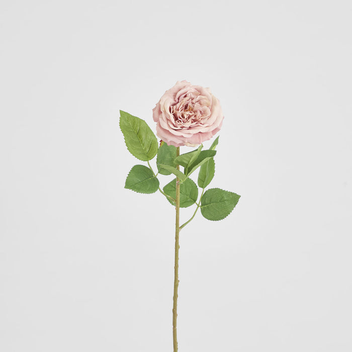 Dried Look English Rose Stem 50cm Blush 6 pcs
