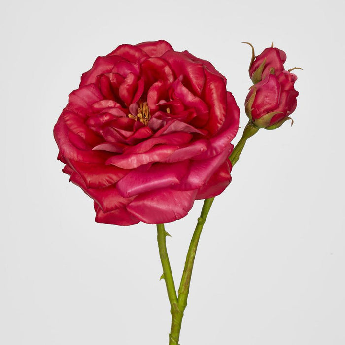 Real Touch Angelina Rose Spray Dark Pink 4 pcs