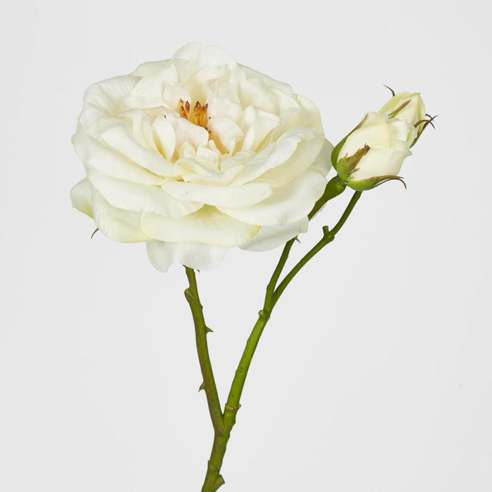Real Touch Angelina Rose Spray White 4 pcs