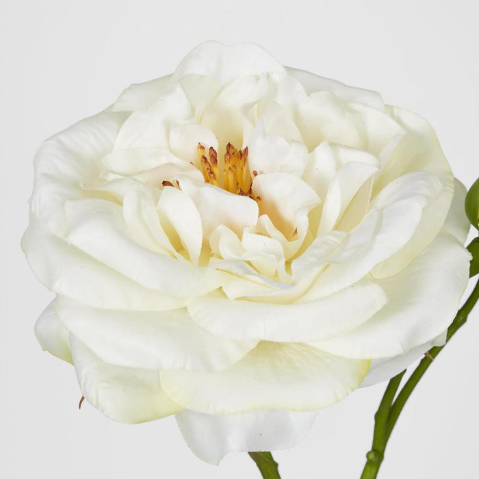 Real Touch Angelina Rose Spray White 4 pcs