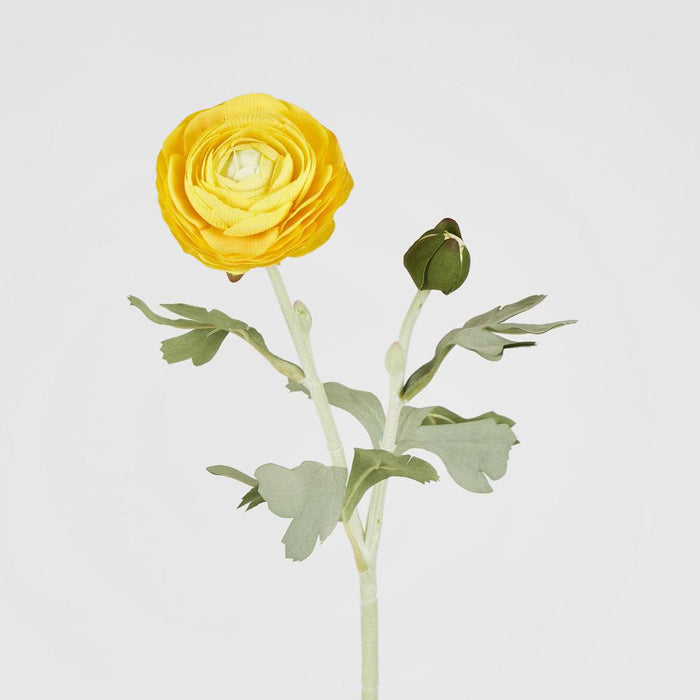 Clara Yellow Ranunculus Spray49cm 12 pcs