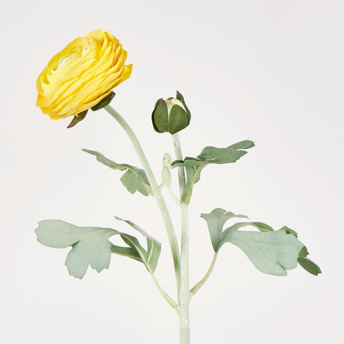 Clara Yellow Ranunculus Spray49cm 12 pcs