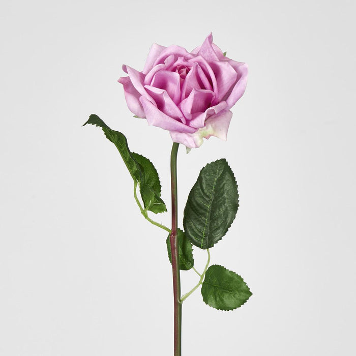Ingrid Rose 46cm Mauve 24 pcs