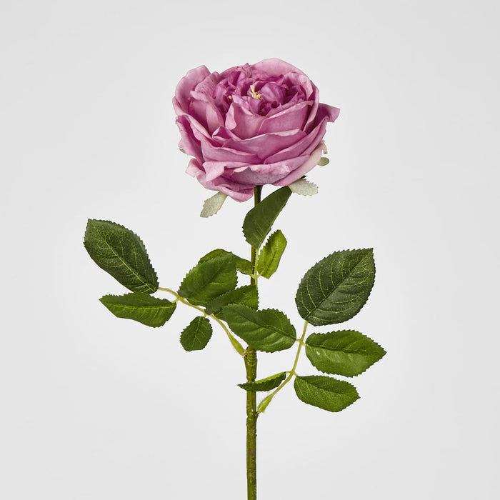 Dianna Real Touch Rose Steam Autumn Pink60cm 15 pcs