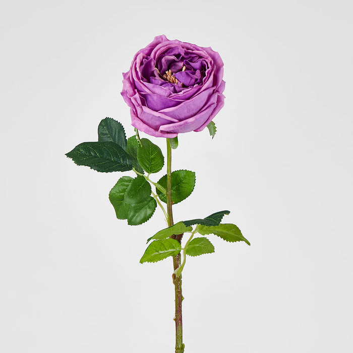 Dianna Real Touch Rose Steam Lilac60cm 15 pcs