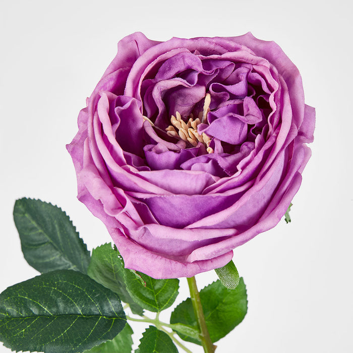 Dianna Real Touch Rose Steam Lilac60cm 15 pcs