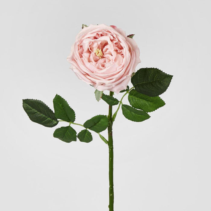 Dianna Real Touch Rose Steam Light Pink60cm 15 pcs