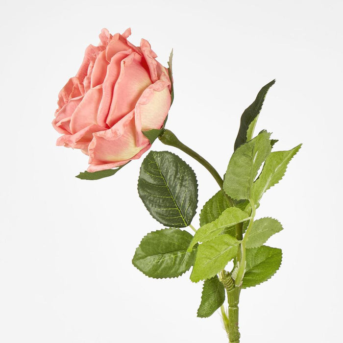 Dianna Real Touch Rose Steam Orange60cm 15 pcs