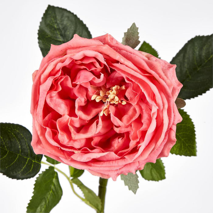 Dianna Real Touch Rose Steam Orange60cm 15 pcs