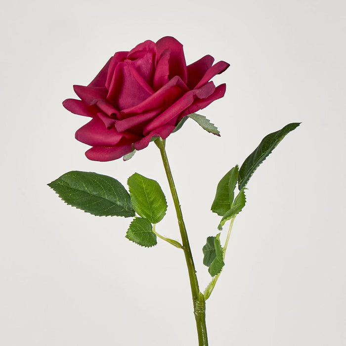 Winston Rose Real Touch Fuschia45cm 18 pcs