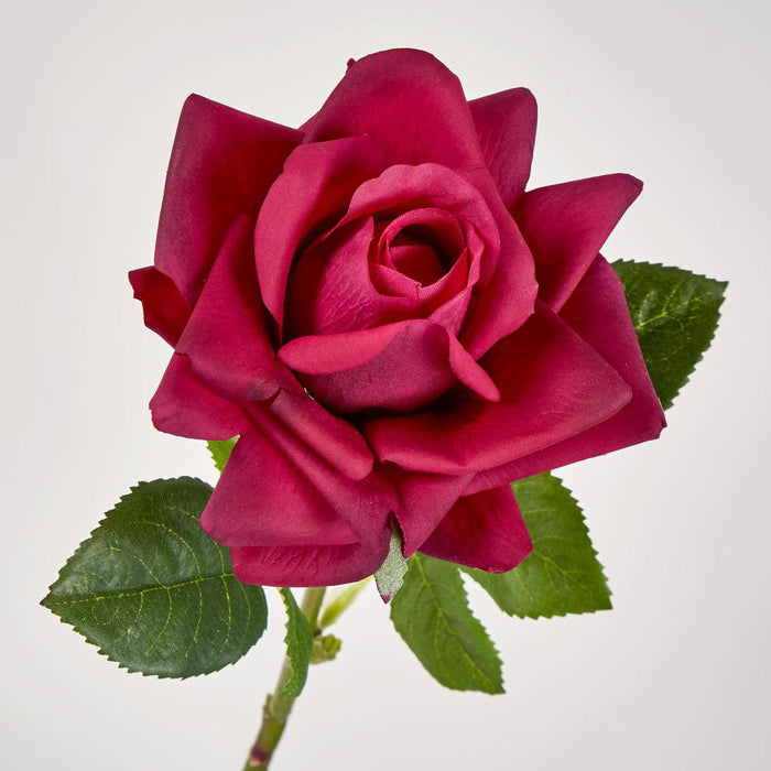 Winston Rose Real Touch Fuschia45cm 18 pcs