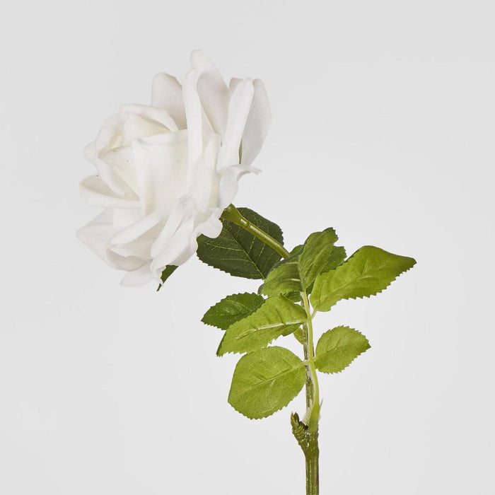 Walter Real Touch Rose Stem Ivory61cm 12 pcs