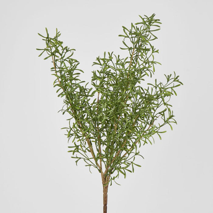 Rosemary Spray set of 6