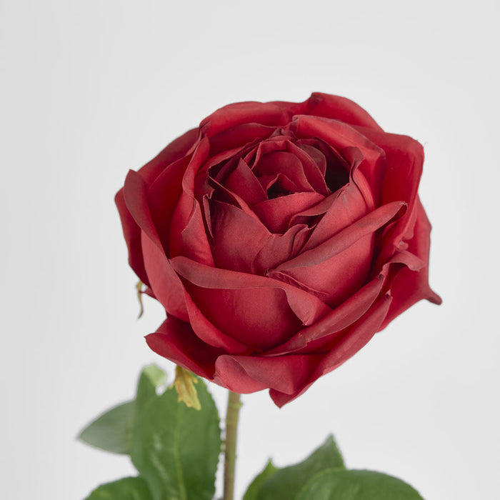 York Rose Short Stem 52cm Red 3 pcs