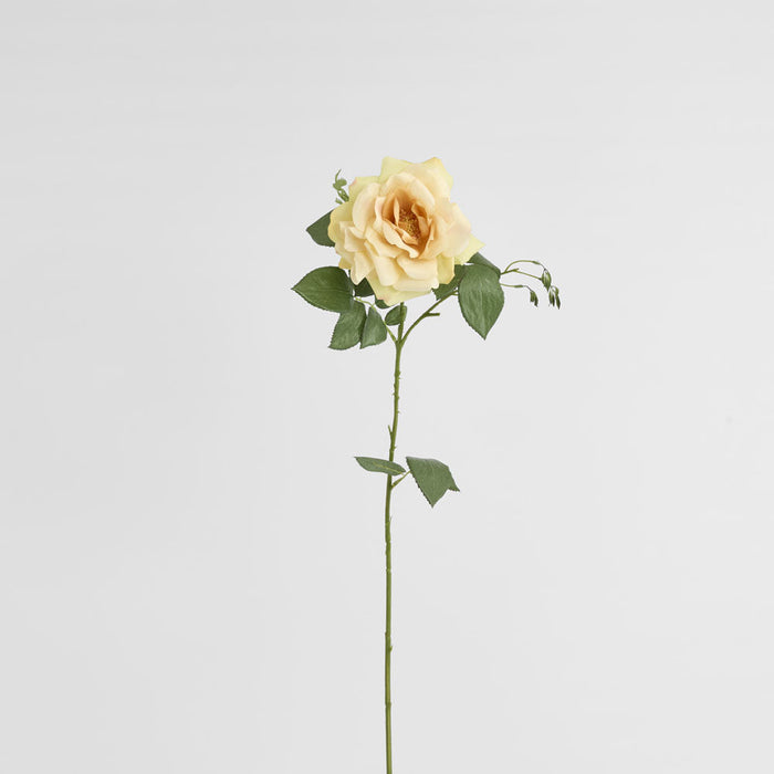 Chelsea Rose Stem 97cm Yellow