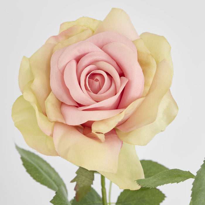 Darcey Rose Spray 100cm Pink Green