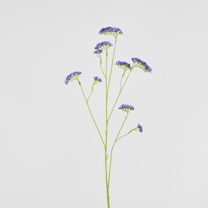 Rosemary Lavender 92cm