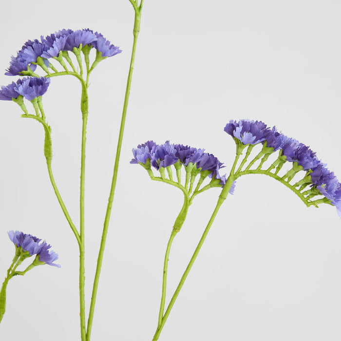 Rosemary Lavender 92cm