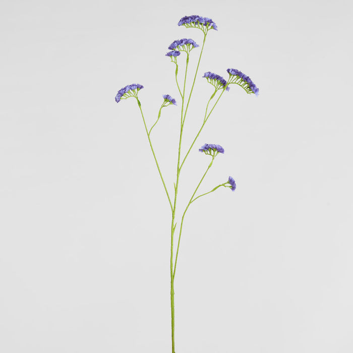 Rosemary Lavender 92cm
