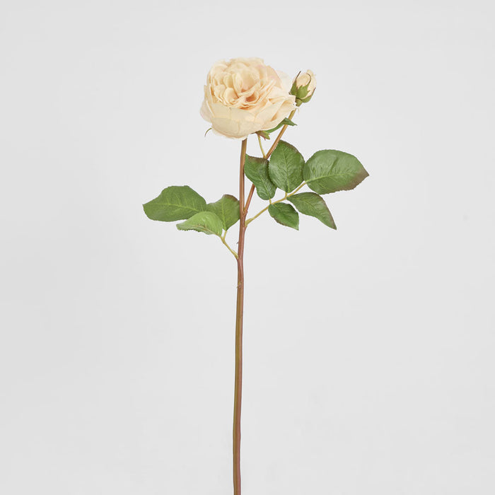 Cabbage Real Touch Rose Stem 49cm Blush