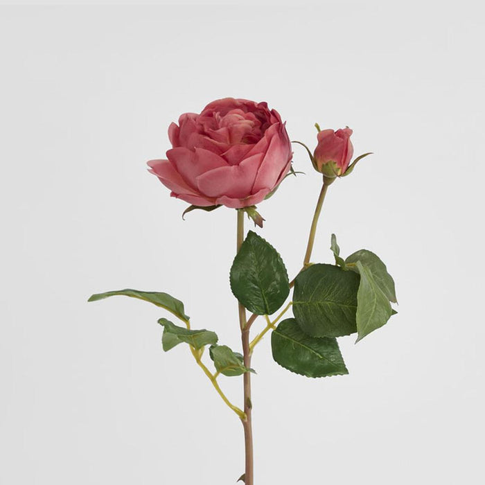 Cabbage Real Touch Rose Stem 49cm Rouge