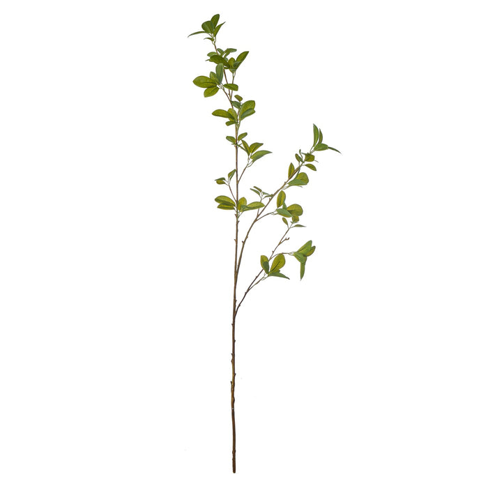 NSIMG-SHA256:d5c74588454d33fb42b8cdee93d1a0325fd0086358bea4b99adb15021c5f3b3e · Isalbi Rogue Mini Leaf Spray Green