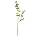 NSIMG-SHA256:d5c74588454d33fb42b8cdee93d1a0325fd0086358bea4b99adb15021c5f3b3e · Isalbi Rogue Mini Leaf Spray Green