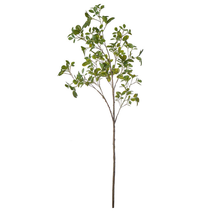 NSIMG-SHA256:4e8cc4752e4ee960bc178ea37812f5973ed94a8ba1b6a68102d18ef816655243 · Isalbi Rogue Mini Leaf Branch Green