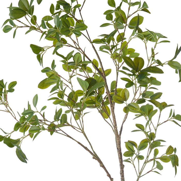 NSIMG-SHA256:fe9f031af233fbee820351b2d19357d0b62cd98c4b59a6e8cdcbf55135b091cb · Isalbi Rogue Mini Leaf Branch Green