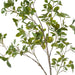 NSIMG-SHA256:fe9f031af233fbee820351b2d19357d0b62cd98c4b59a6e8cdcbf55135b091cb · Isalbi Rogue Mini Leaf Branch Green