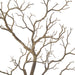 NSIMG-SHA256:0337d16b7d856fcaaeea2c09c984efae3f1346a018e3163e61cafc81f7dad65f · Isalbi Rogue Single Try Branch Brown