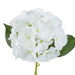 NSIMG-SHA256:587930a26f9460034fb9e5ac29f72067c75caf91129909c34b91266d9371f421 · Isalbi Rogue Hydrangea Evie White