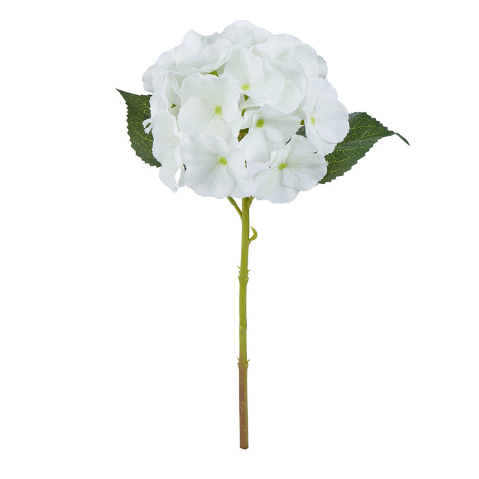 NSIMG-SHA256:8fce436a35a726610dfa8710eb3acaefeb3afc6603056e0da9735810bc65cb8c · Isalbi Rogue Hydrangea Evie White