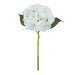 NSIMG-SHA256:8fce436a35a726610dfa8710eb3acaefeb3afc6603056e0da9735810bc65cb8c · Isalbi Rogue Hydrangea Evie White