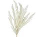 NSIMG-SHA256:5f0644eca7084e704c7d6792b8722dff9234aceab4456495292bb57af3e579c4 · Isalbi Rogue Pampas Spray Cream
