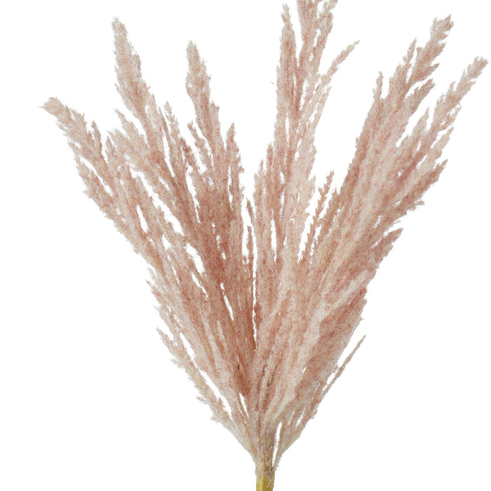 NSIMG-SHA256:1d53fe612c8e12e6d8b442e5fe0afc12191c9e55b250f7543f862f6aa07624c7 · Isalbi Rogue Pampas Spray Light Pink