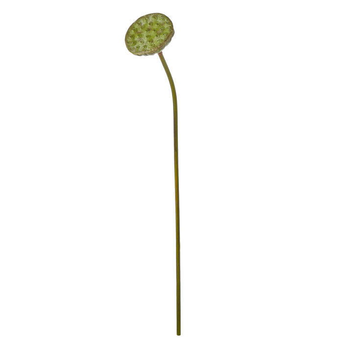 NSIMG-SHA256:6020b9636bd3b9a35ff86a0a95f984430af244f6828586cf384b4010cc1fdaf5 · Isalbi Rogue Lotus Bud Green