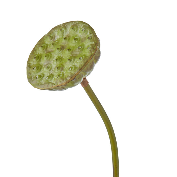 NSIMG-SHA256:a3bd6877556fc328ca5000cc566479316cc0203dbd4f4c40431c850ab9ffb6e8 · Isalbi Rogue Lotus Bud Green