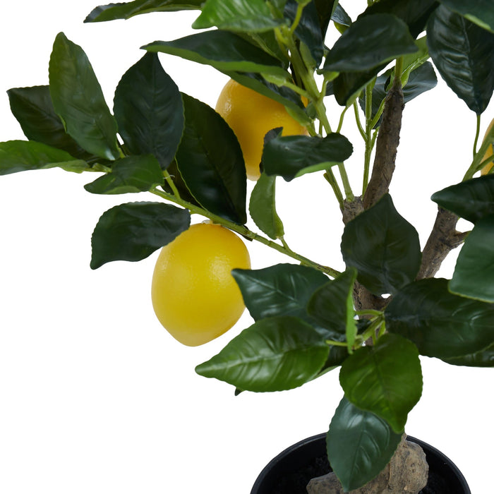 NSIMG-SHA256:e944909a822b94a5355587d2d62a479fac65c2cf9aaf8ae4830e96a5ab937b1d · Isalbi Rogue Lemon Tree Green
