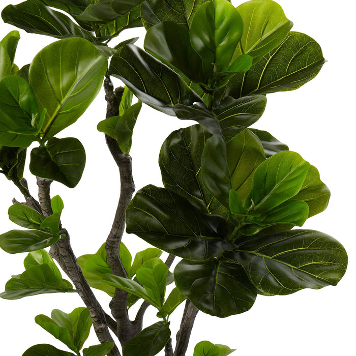 NSIMG-SHA256:3c0772db4ed89176af802d5e6d698e9af02a5614c2be53d3d2c3d72e5be66bd0 · Isalbi Rogue Fiddle Tree in Pot Green