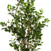 NSIMG-SHA256:ce8dae55bdb330acaf0ed15b6e653be1e9ed7633ec63088181c8cd584b51929d · Isalbi Rogue Ficus Tree Potted Green