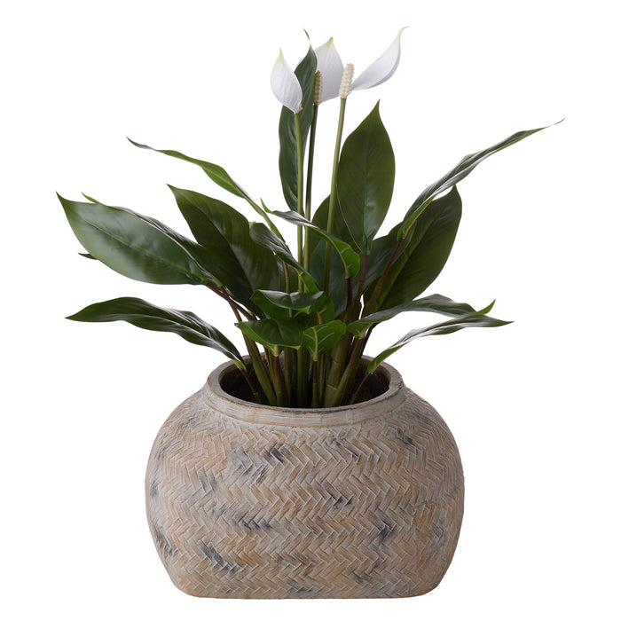 NSIMG-SHA256:ed6c6011abf98ac264a344def88431d2f015c41b86e8fe22814a92cb007175f1 · Isalbi Rogue Distressed Cement Weave Vessel Multi-Coloured