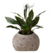 NSIMG-SHA256:ed6c6011abf98ac264a344def88431d2f015c41b86e8fe22814a92cb007175f1 · Isalbi Rogue Distressed Cement Weave Vessel Multi-Coloured