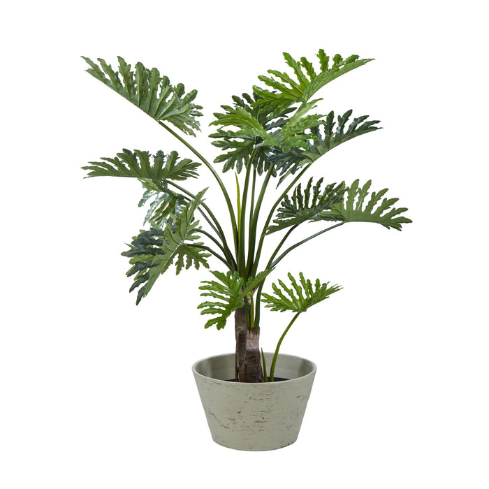 NSIMG-SHA256:3ebe8ffef59a88e0109dc2eee6ef3bdd71ca37c0a36eeaac7de00321046fef47 · Isalbi Rogue Rustic Stone Look Shallow Planter Pot Rustic Cream