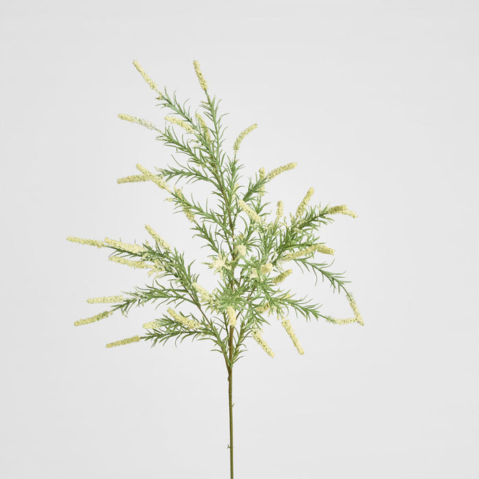 Sage Branch Dusty 92cm Cream