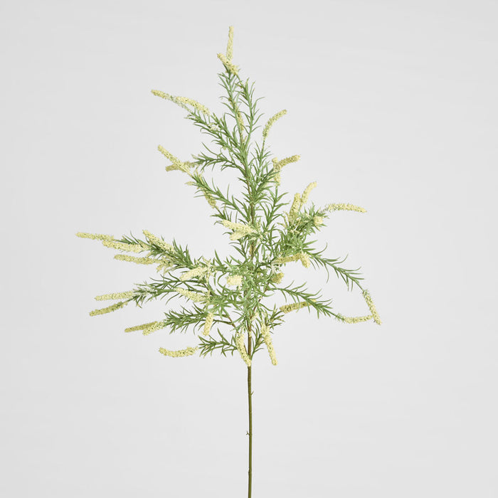 Sage Branch Dusty 92cm Cream