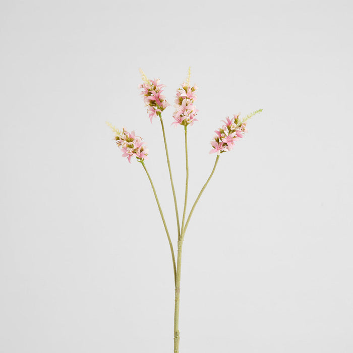 Salvia Nutans Sage Spray 84cm Pink 2 pcs