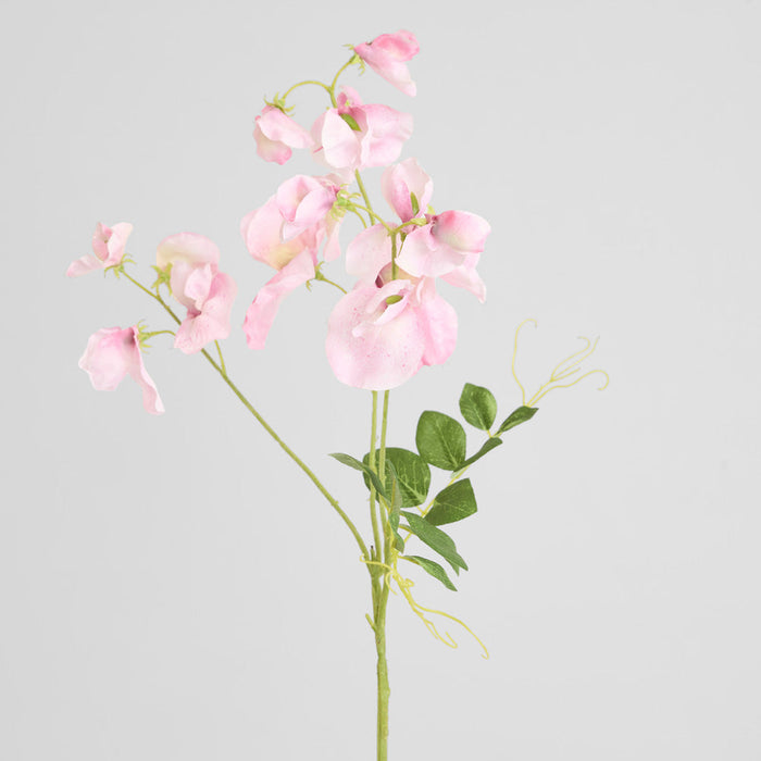Sweetpea Spray 70cm Pink 6 pcs